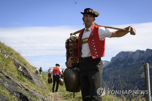 SWITZERLAND CATTLE DESCENT ALTENALP : 네이트 뉴스