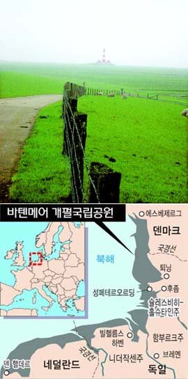 북해 연안 5400㎢…인간·자연 ‘공존의 땅’ : 네이트 뉴스