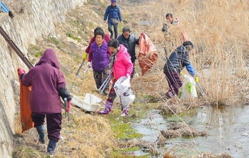 공주시, 주민 참여 '도랑살리기 운동' 실시 : 네이트 뉴스
