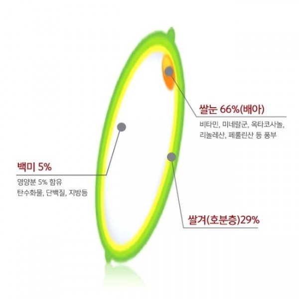 현미의 영양 보고! 국내산 쌀눈 100%로 만든 쌀눈파워일당백 출시 : 네이트 뉴스