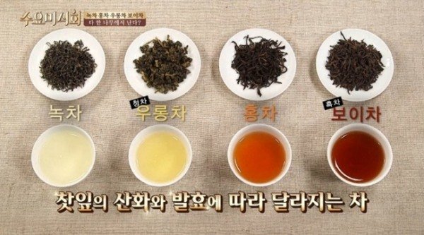[차의 계절 ①] '한잔의 힐링' 녹차·홍차…같은 듯 다른 이유 있었네 : 네이트 뉴스