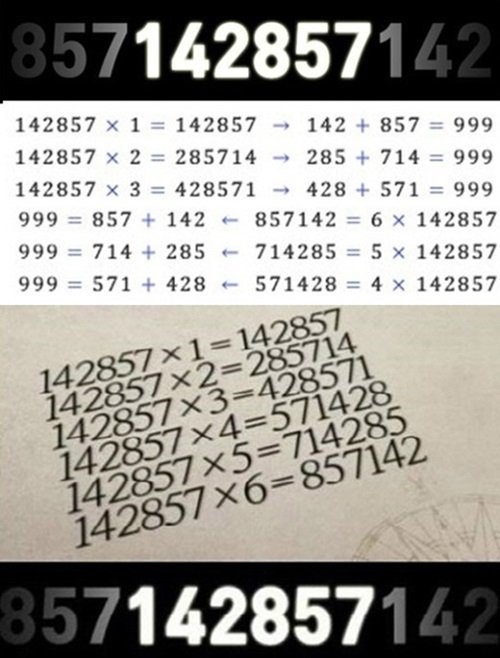 숫자 142857의 비밀, 베르나르 베르베르 소설에 나온 이유 있었네 '소름' : 네이트 뉴스