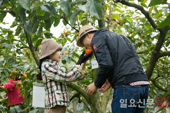 국제농업박람회, 농작물 수확체험장 조성 완료 : 네이트 뉴스