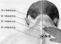 감기에 좋은 지압법, 이것만 숙지하면 걱정 끝~ : 네이트 뉴스