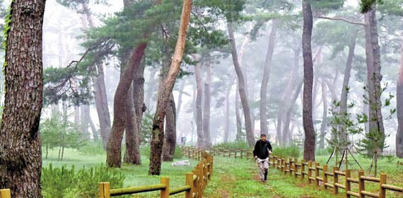 [2017 국가브랜드대상] 해수욕·산림욕·온천욕…사계절 즐기는 관광지 : 네이트 뉴스