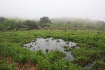 경남, 양산 장군습지 ‘람사르습지’ 지정 추진 : 네이트 뉴스