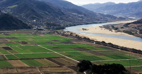 화개골 찻잎…섬진강 재첩…악양들판엔 소설 ‘토지’의 감동 : 네이트 뉴스