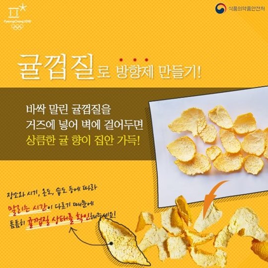 손난로부터 기름때 제거까지?…귤껍질 활용법 3가지 : 네이트 뉴스
