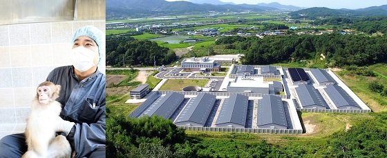 3000마리 규모 '영장류자원지원센터' 전북 정읍서 개소 : 네이트 뉴스