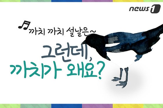 [펫카드] 까치 까치 설날은~ 