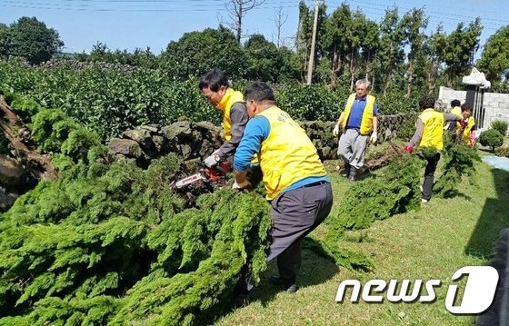 "대비없는 태풍피해는 人災"…봉사자들 안타까운 발길 : 네이트 뉴스