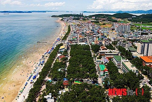 대천해수욕장 1일 개장…볼거리·즐길거리 '풍성' : 네이트 뉴스