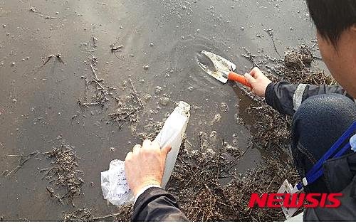 가축분뇨 관리실태 집중 점검…녹조 예방 기대 네이트 뉴스