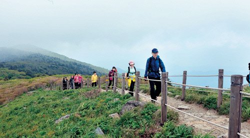 덕유산 자연휴양림, '능선 트레킹' 감동 짜릿 : 네이트 뉴스