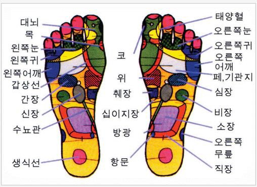혈액순환에 문제가 있으신가요? 부작용 없는 발바닥사혈 : 네이트 뉴스