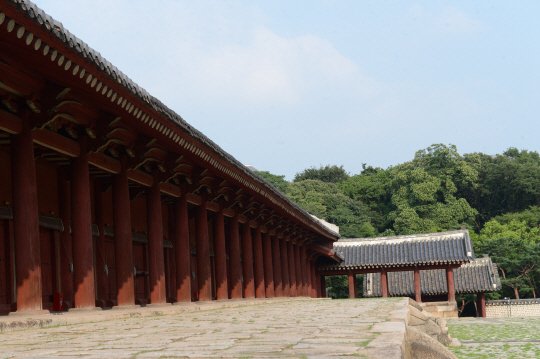 : 네이트 뉴스