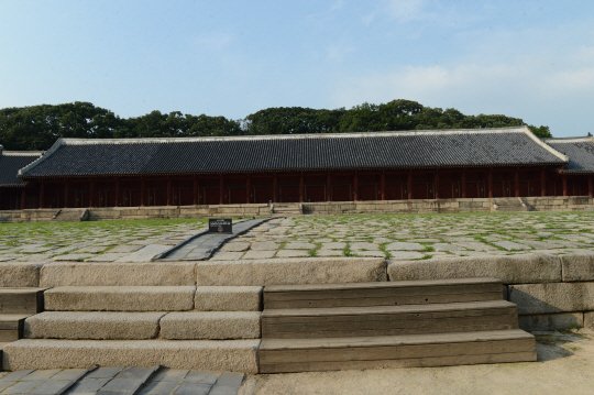 : 네이트 뉴스