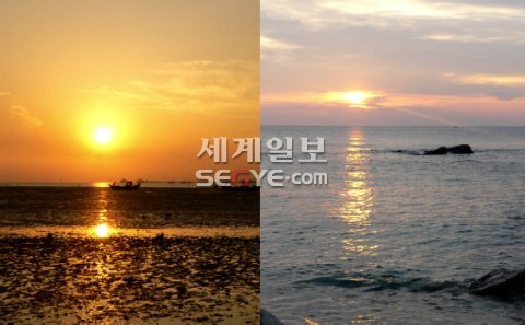 [동영상]‘지는 해·오는 해’ 감상 어디서? : 네이트 뉴스