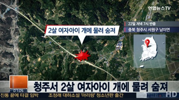 2세 여아, 집에서 키우던 핏불테리어에 물려 숨져 : 네이트 연예