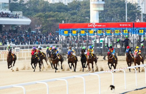 한국경마 이끌 차세대 주자는 과연 누가 될까 : 네이트 뉴스