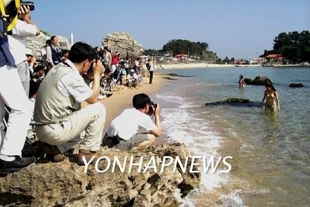 : 네이트 뉴스
