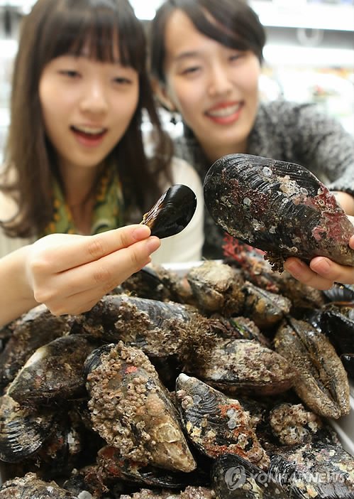 현대백화점, 자연산 대물 홍합 '담치' 판매 : 네이트 뉴스