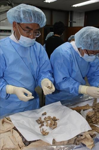 조선시대 CSI, 미라와 기생충 : 네이트 뉴스